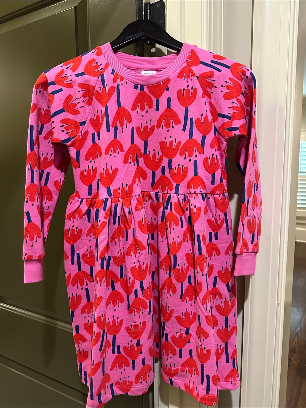 Hanna Andersson Pink Dress with Red Floral Print
